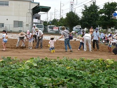 09