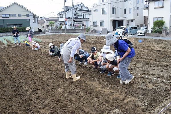 種まき